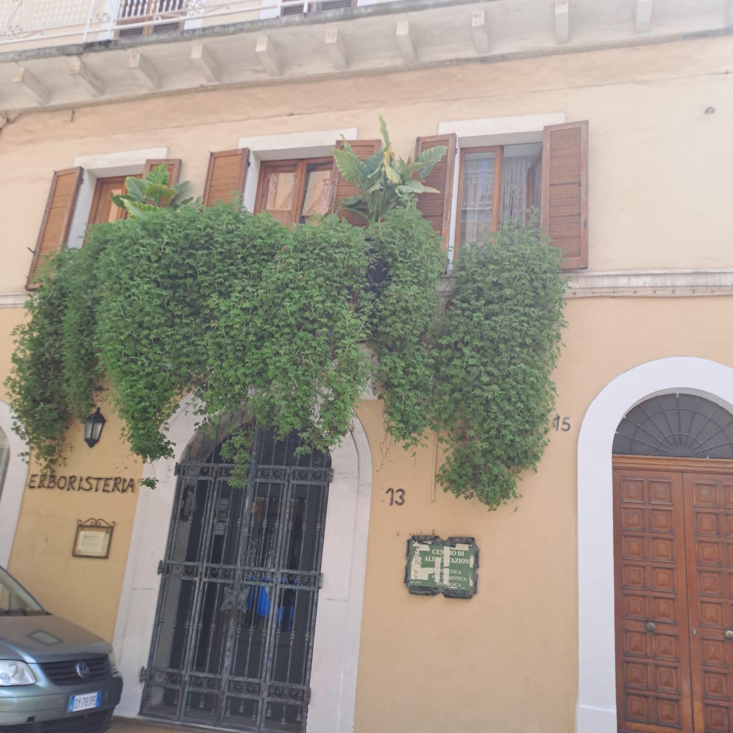 Domus Teate - Chieti Daire Dış mekan fotoğraf